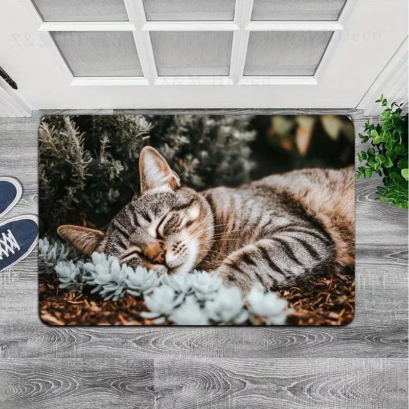 Kitchen Cat Pattern Floor Mat & Area Carpet – Anti-Slip Persian Design | 3 Sizes