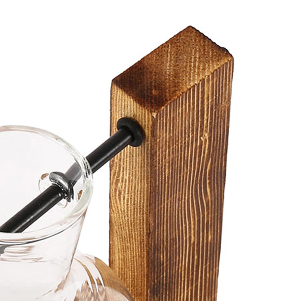 Glass Bulb Vase with Wooden Stand – Desktop Terrarium & Hydroponic Planter