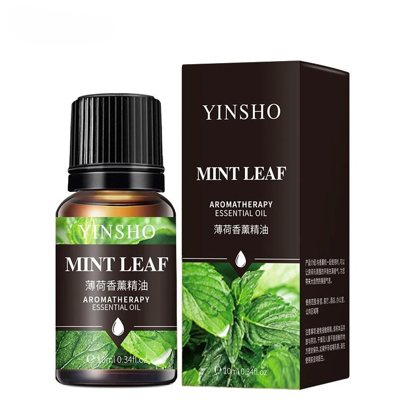 Water-Soluble Aroma Oil – 10ml | 17 Fragrances for Diffuser & Humidifier