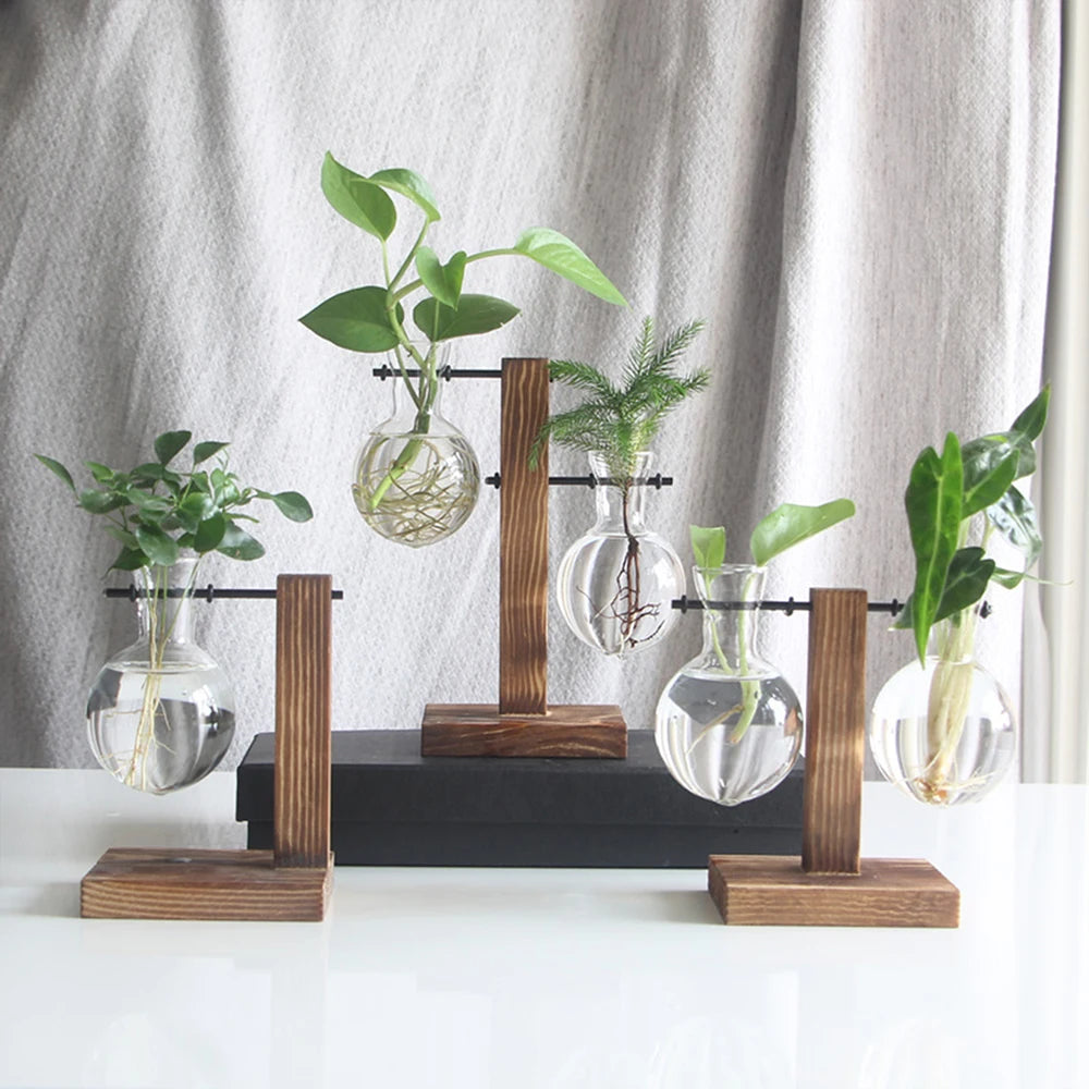 Glass Bulb Vase with Wooden Stand – Desktop Terrarium & Hydroponic Planter
