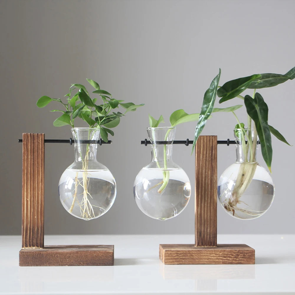 Glass Bulb Vase with Wooden Stand – Desktop Terrarium & Hydroponic Planter
