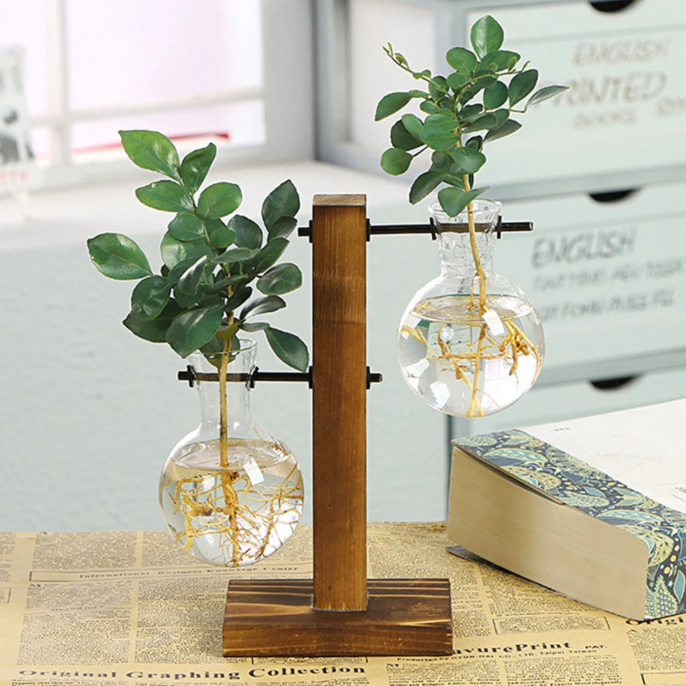 Glass Bulb Vase with Wooden Stand – Desktop Terrarium & Hydroponic Planter