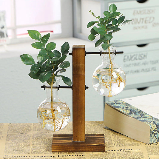 Glass Bulb Vase with Wooden Stand – Desktop Terrarium & Hydroponic Planter