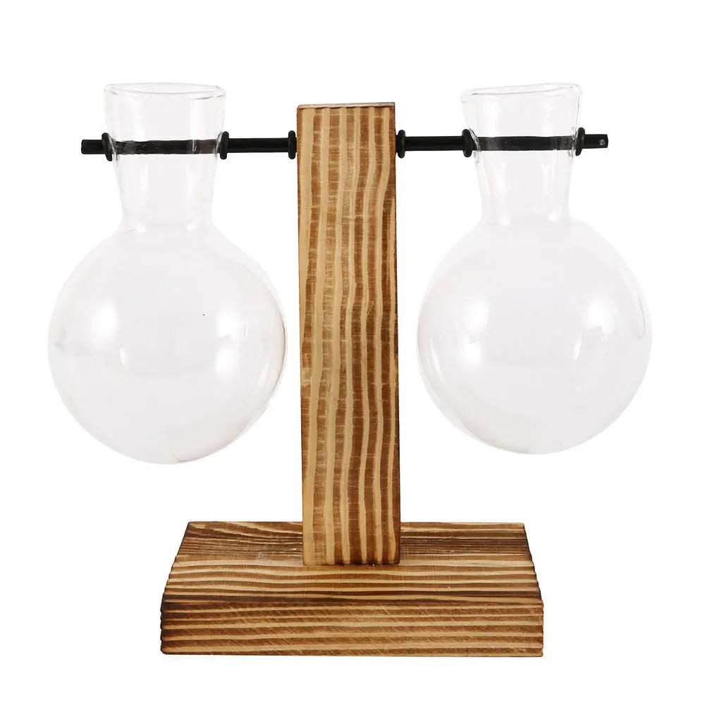 Glass Bulb Vase with Wooden Stand – Desktop Terrarium & Hydroponic Planter