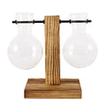 Glass Bulb Vase with Wooden Stand – Desktop Terrarium & Hydroponic Planter