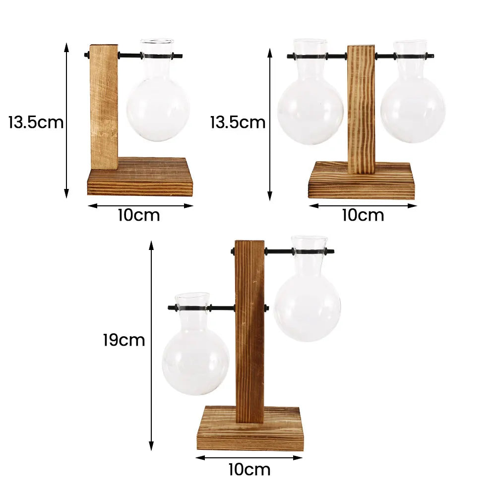 Glass Bulb Vase with Wooden Stand – Desktop Terrarium & Hydroponic Planter