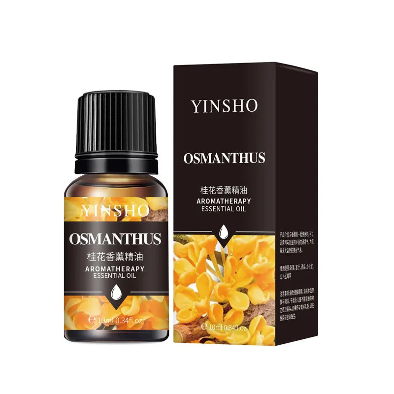 Water-Soluble Aroma Oil – 10ml | 17 Fragrances for Diffuser & Humidifier