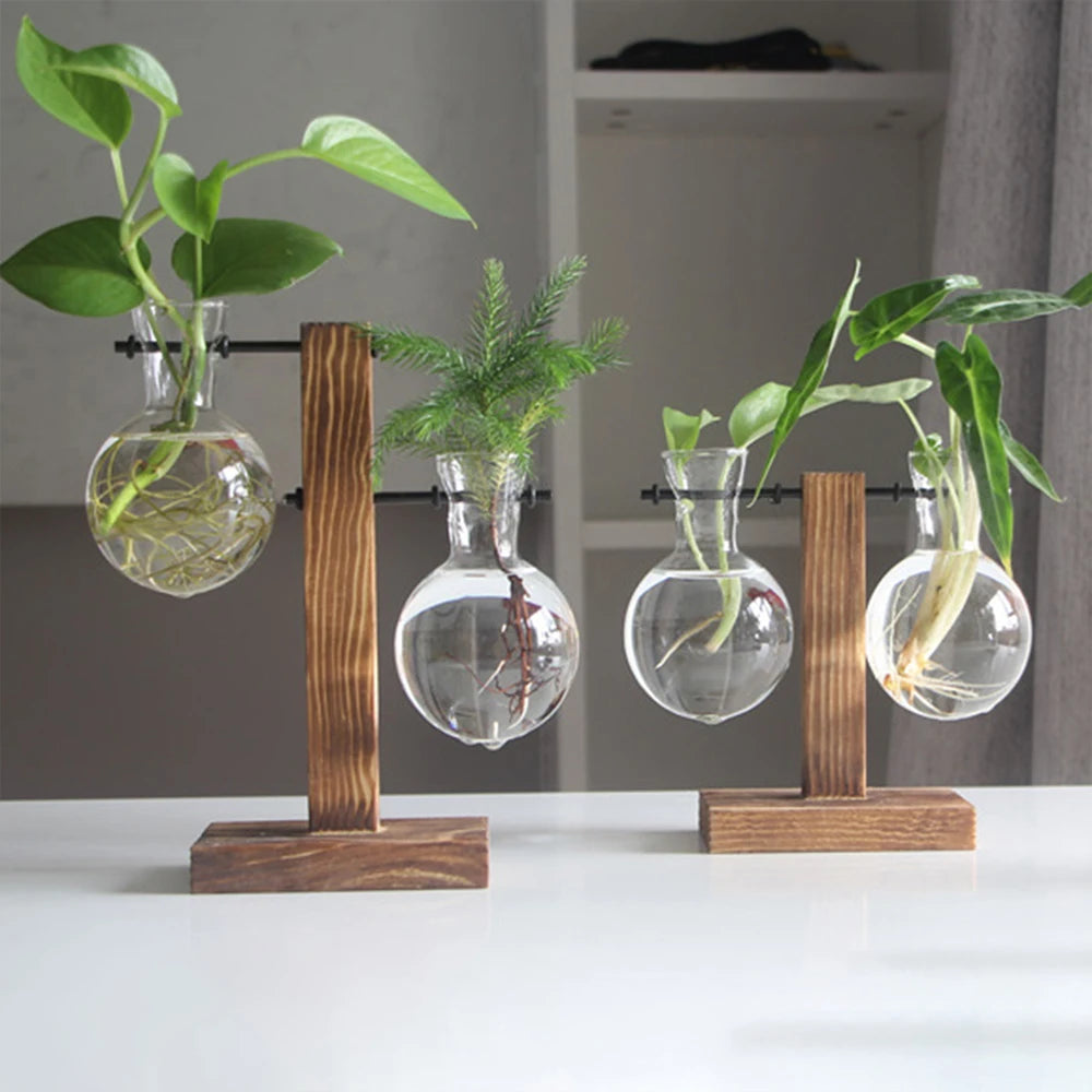 Glass Bulb Vase with Wooden Stand – Desktop Terrarium & Hydroponic Planter